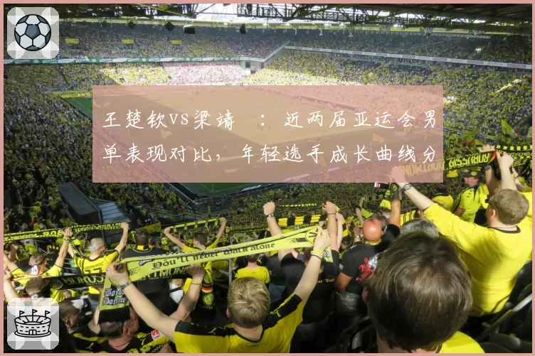 王楚钦vs梁靖崑:近两届亚运会男单表现对比,年轻选手成长曲线分化