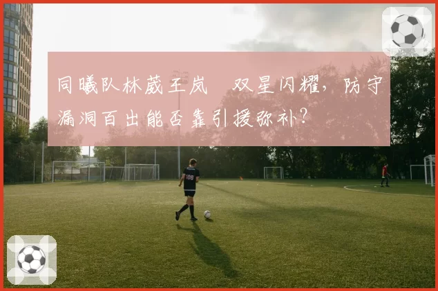 同曦队林葳王岚嵚双星闪耀,防守漏洞百出能否靠引援弥补?