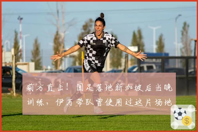 前方直击!国足落地新加坡后当晚训练,伊万带队曾使用过这片场地