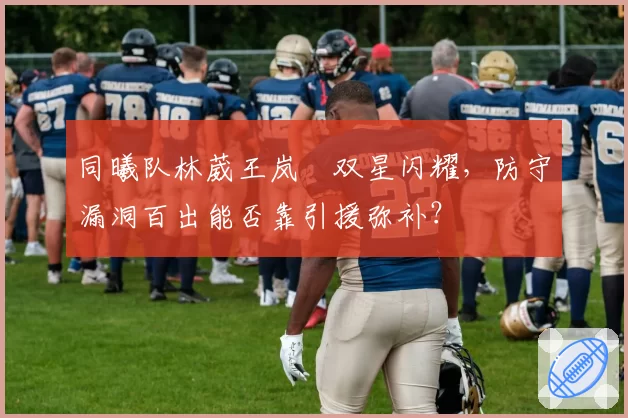 同曦队林葳王岚嵚双星闪耀,防守漏洞百出能否靠引援弥补?